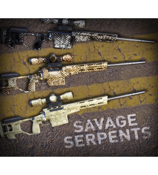 Sniper Ghost Warrior Contracts 2 - Savage Serpents Skin Pack DLC Steam Key EUROPE